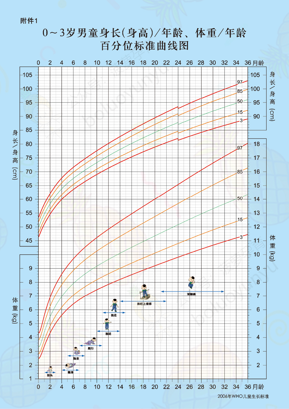 宝宝体重身高标准表 菠萝孕育