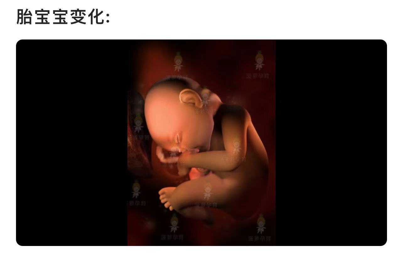 33周胎儿体重几斤正常 菠萝孕育